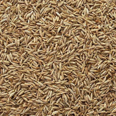 cumin seeds