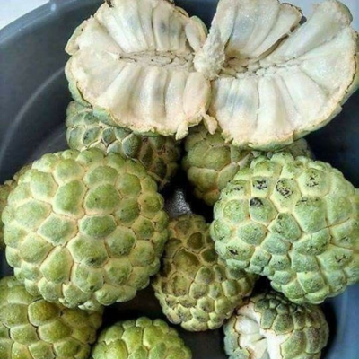 custard apple
