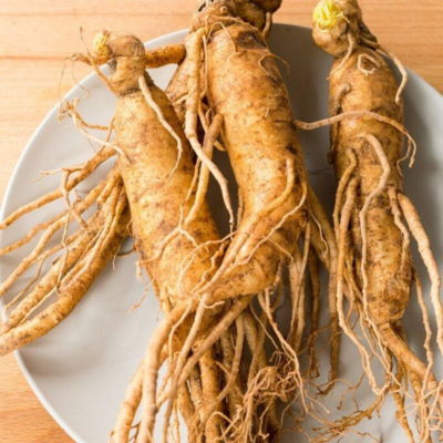 ginseng