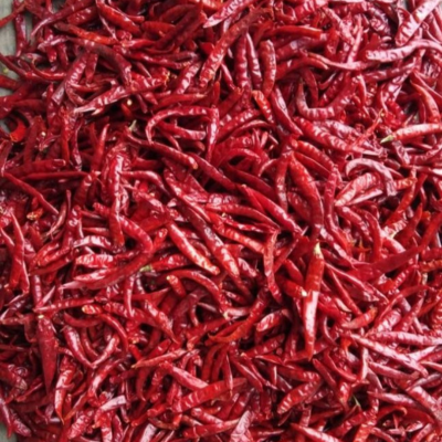 red dry chilli